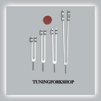 TFS Tuningforkshop 4 Adet Kemik (25,50,100,200 hz) Aktivatörlü Şifa için Tuning Çatalı,Kese