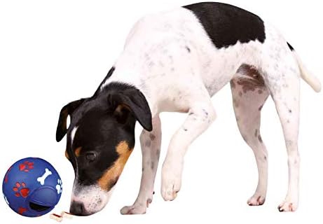 Trixie Köpek Etkinliği Plastik Atıştırmalık Topu, 7cm Çap