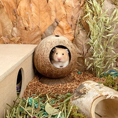 andwe Hindistan Cevizi Kulübe Hamster Ev Yatak Gerbils Fareler Küçük Hayvan Kafesi Habitat Dekor