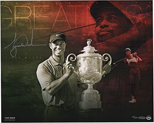 Tiger Woods İmzalı 16 x 20 Büyüklük için Tasarlandı Fotoğraf-Üst Güverte-İmzalı Golf Fotoğrafları